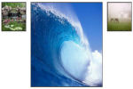 Zoom I & Out Image Gallery